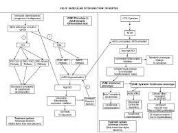Sepsis may progress to septic shock. Vascular Dysfunction In Sepsis Increased Catecholamines In Sepsis Download Scientific Diagram