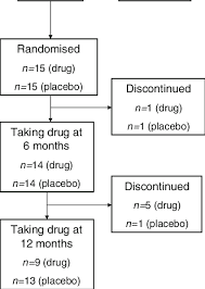 Flow Chart Illustrating Changes In The Patient Population