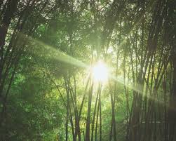 We did not find results for: 25 Most Incredible Places To Visit In Malaysia Hoponworld