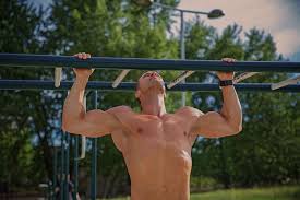 Parts of the body | infographic. Calisthenics Everything You Need To Know