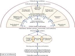 Transcultural Nursing Intechopen