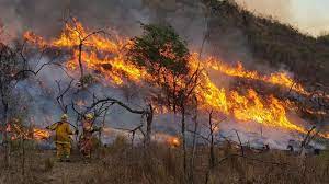 Los bomberos voluntarios de federación córdoba y de la agrupación serrana combaten arduamente los incendios forestales en las localidades de villa albertina, paraje cerro negro, ischilin, copacabana y ongamira. Incendios En Cordoba La Tierra Esta Caliente El Fuego Brota De Las Raices Fm La Tribu