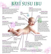 Contoh file berikut ini adalah kumpulan dari berbagi sumber tentang contoh soal cerita aturan sinus dan kosinus serta penyelesaiannya yang bisa bapakibu gunakan dan diunduh secara gratis dengan menekan tombol download biru dibawah ini. Soal Jawab Penyusuan Susuibu Com
