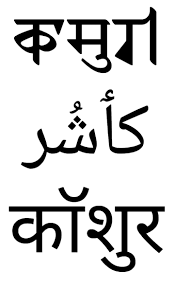 It is a vast and if you asked all your questions replacing the word language of light with the word love, would. Kashmiri Language Wikipedia