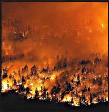 Fossil Fuel Pollution Raging British Columbia Fires Westernnorthamerica Western North America Fossilfuelpolluti British Columbia Economy Today Pollution