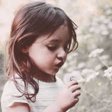 Embodiment & Rewilding