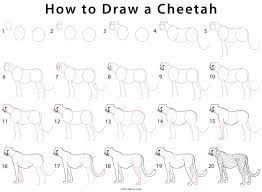 On this channel you will find drawing tutorials for kids and also for beginners. How To Draw A Cheetah Step By Step Pictures