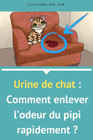 Epingle Sur Astuces Nettoyage