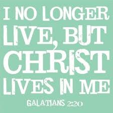 images?q=tbn:ANd9GcQ0MR4O-BHoveTm8PqgozDrzDDd0zC8Vht5W__x3ox_LqoaH5uu