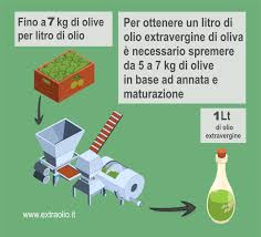 Se metti dell'acqua a ghiacciare nel freezer noterai che aumenta di volume, ma la sua massa, e quindi suo il peso, resta invariato: Quanto Costa L Olio Extravergine Di Oliva