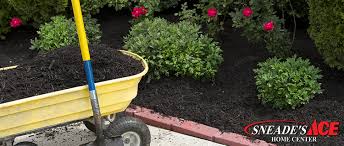 What i didn't think of though is that when i turn the mulch in a few months (to avoid mold), i'll need to spray again. Mulch Sneades Ace Home Centers