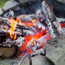 This is a great way to make sure you don't burn the eggs. What To Know About Cooking Over A Fire Pit Kitchn