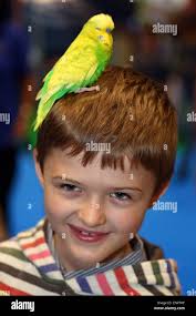 Eric bird hi-res stock photography and images