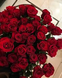 Pinterest Catherinesullivan2017 Red Roses Flowers Bouquet Flowers