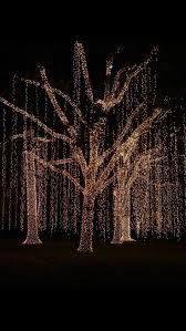 Epingle Par Marylin Hua Hin Sur Photos De Noel Decoration Lumineuse Jardin Decoration Noel Exterieur Lumieres De Noel