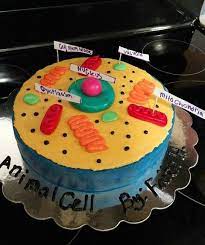 We did not find results for: Animal Cell Cake Cells Project Animal Cell Project Animal Cell