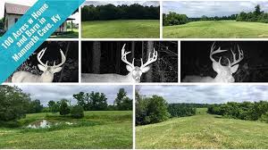 Explore 3 listings for price of agricultural land per acre at best prices. Pin Auf Properties And Such
