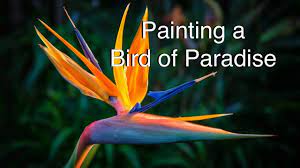 October 4, 2021 anne abgott bird of paradise watercolor workshop. How To Paint A Bird Of Paradise Flower In Watercolor Tutorial Watercolour Youtube