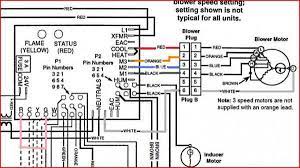 Wiring your programmable thermostat for boiler or furnace control with only two wires will work just fine except you will need to keep replacing. Diagram Gas Furnace Wiring Diagram For Gibson Full Version Hd Quality For Gibson Waldiagramacao Lanciaecochic It