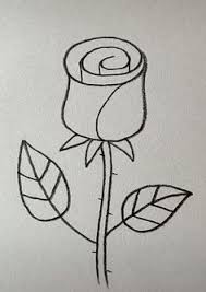 Is image to sketch ai having apps or software? Graphite Pencil Draw On Twitter Rose Drawing Easy Draw Pencil Https T Co 0859bp2plt