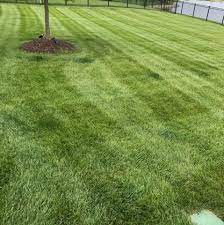 Advanced lawn & landscaping is located in palm bay city of florida state. Top Notch Lawn Care Llc Facebook