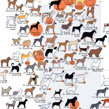 What Dog Breed Has The Best Temperament Aaa State Of Play