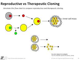 genetic engineering and biotechnology