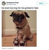 There are also those on set who think he is getting too big for his boots. He Boot Too Big For He Gotdamn Feet Know Your Meme