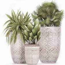 Maybe you would like to learn more about one of these? Decorative Plants In Flower Pots For The Interior 477 3d