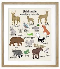 Woodland Animal Tracks Poster Woodland Animal Nursery Kids Nursery Art Woodland Nursery Art