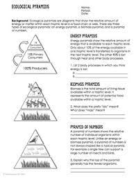 We did not find results for: Ecological Energy Pyramid Worksheet Answers Worksheet List