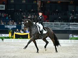Zu ihren erfolgen im reitsport gehören unter anderem das goldene reitabzeichen die leidenschaft für die pferde teilt lisa mit ihrem mann thomas müller. Neues Grand Prix Pferd Fur Lisa Muller