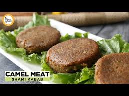 How do you put grass into a personification? Camel Meat Shami Kabab Recipe By Food Fusion Ø¯ÛŒØ¯Ø¦Ùˆ Dideo