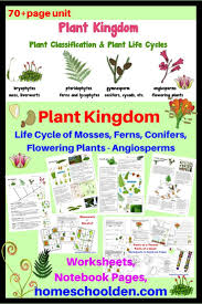 Plant Kingdom Worksheets Life Cycle Of Moss Ferns Conifers Angiosperms Homeschool Nature Study Homeschool Science Curriculum Teaching Plants