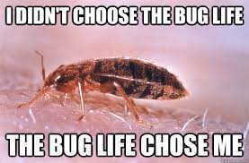 The professionals of smitter pest control pride themselves on their environmentally friendly practices. Pest Control Memes