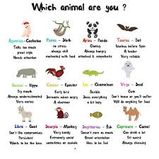 Virgo Yep That Describes Me Perfect Horoscope Memes Zodiac Signs Animals Zodiac Signs Funny
