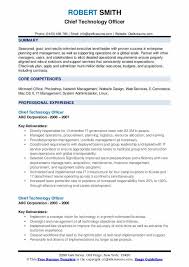 chief technology officer resume samples