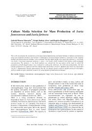 Image result for Isaria sp.