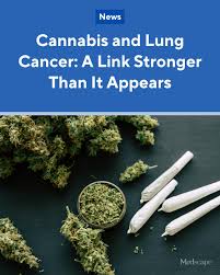 Image result for Pulmonary Intoxicant