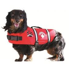 Paws Aboard Red Neoprene Pet Life Vest
