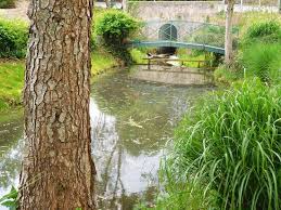 Jardin Des Olfacties Coex Aktuelle 2020 Lohnt Es Sich Mit Fotos