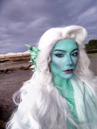 Beach sunset photos of a dog