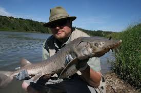 My Biggest Fish Ever River Fishing Big Fish Fish