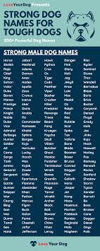 In the earlier period it may have been in the form hrodbeort. Tough Dog Names 200 Strong Powerful Names For Male Dogs