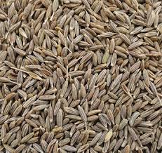 Check spelling or type a new query. Cumin Seed White Black Cumin Seeds Altrafine Gums