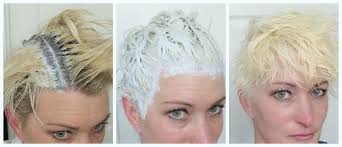 We did not find results for: Maintaining Platinum Blonde Elisa S Ramblings