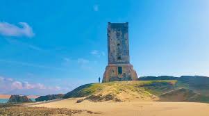 Image result for Selago barabei