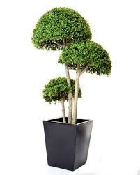 Pure garden 30 artificial english ivy single ball topiary tree, set of 2. Artificial Boxwood Triple Stemmed Ball Tree Just Artificial