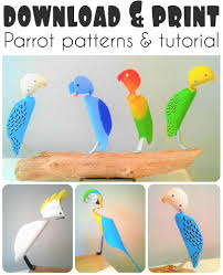 Birds That Start With A C Pin On Diy Home Decor