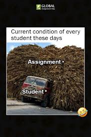 Global Assignment Help Meme Assignment Writing Service Writing Services Student Memes